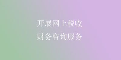 开展网上税收，财务咨询服务