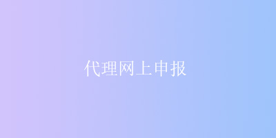 代理网上申报