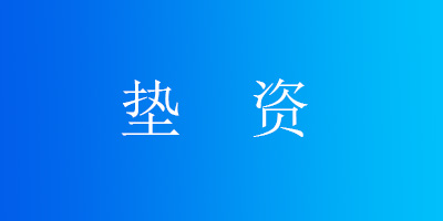 垫  资