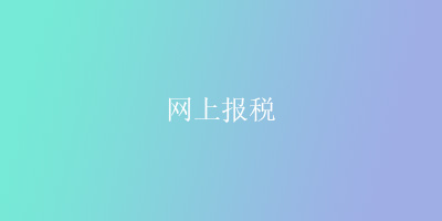 网上报税