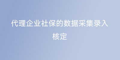 代理企业社保的数据采集录入、核定